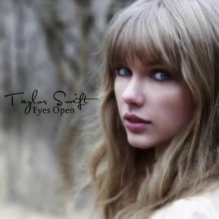  This is a awesome song! I Liebe Taylor Swift, shes an amazing singer.