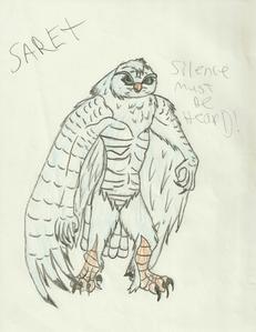  i could make u an owl...like Saret (which litterally means Wisdom)