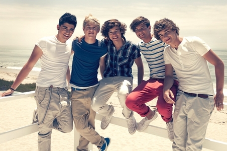  From left to right they are Zayn Javaad Malik (19) Niall James Horan (18) Harry Edward Styles (18) Louis William Tomlinson (20) Liam James Payne (18) They are all British, accept Niall who is Irish. They were formed on the X Factor, where they all entered as solo artists. They didnt make it, so they were put together as a group. The first song they sang together was torn. They didnt win the X Factor, they came in 3rd but Simon Cowell (a.k.a.) Uncle Simon signed them anyway. They are now like the worlds biggest boyband and yada yada yada. they just ended the tour for their first album up all night. they are currently recording their new album which is dicho to be released in novemeber they have one countless awards for like everything. blah blah blah and yeah thats pretty much the basics go watch the x factor and tour video diaries and youll learn some más stuff.i suggest twitter and o tumblr for más info facebook is prohibited yeah enjoy becoming a directioner casue there is no turning back now :)