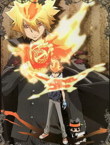  Giotto and Tsuna use flame/fire it's count right?