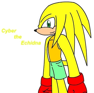 Cyber: SHARMAINE!!! *uses Master Emerald to transform to Omega Cyber* *teleports to Sharmaine's energy signature*