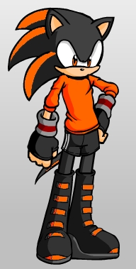 Name: Tyler Clark
Age: 17
Gender: Male
Nicknames: Ty, Clark
Species: Hedgehog
Personality: Adventurous
Good, Bad, or Neutral: Good
Sexuality: Straight, 1 on kinsey scale
Weapons/Powers: He's a speed type but he mainly uses physical attacks. He possesses limited pyrokinetic abilities. Trained to use a weapon staff.
Part: Adventurous 
Single or in Relationship: Single, not into anything serious (at least in this)