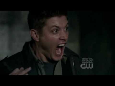 Here's Jensen Ackles as Dean Winchester...Really freaked out! And por a cat! xD
