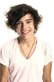  my Favourite celebrity is Harry Styles Because Hes Just awesome :)
