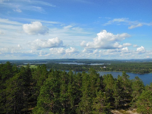  In the middle of Sweden. bức ảnh taken from a 5meter high tower on a tiny mountain.