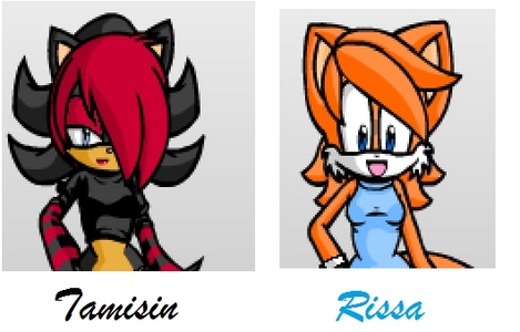  Name: Tamisin (Tam) Age: 17 Species: Hedgehog Likes: rock music, death metal, stealing jewelry, torturing enemies Dislikes: Sonadow, Mephilis, Amy, girly girls, the color white Other: she's emo and loves to destroy things. Name: Marissa (Rissa) Age: 16 Species: fox, mbweha Likes: hard rock, shiny things, The Hunger Games, explosives (C4s her fave) Dislikes: Sally, Eggman, Girly girls, Tamisin (sometimes) Other: Sure, she looks nice and girly now, just wait til she gets her hands on C4. SHE'S DEMENTED. She's got SERIOUS anger issues. but she's seeing a psychiatrist, and.... it's not really working.