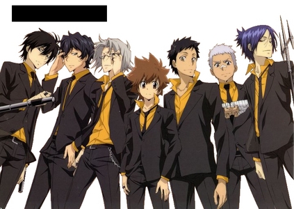I really really love Katekyo Hitman Reborn! It's my favorite and always will be