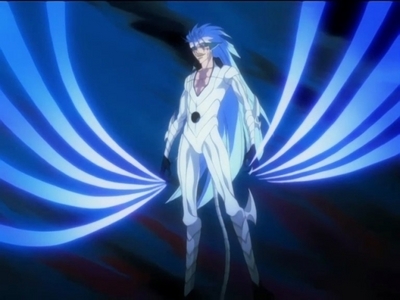  Grimmjow from Bleach, when he is in his release form.