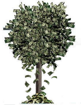  money does grow on trees! it's made of paper, isn't it?