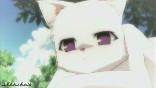  Himari Noihara from Omamori Himari can turn into a cat.