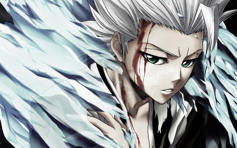 I don't have " a favori " I have Favorites, and oh so many of them, but definitely no. 1 on my liste is Hitsugaya Toshiro