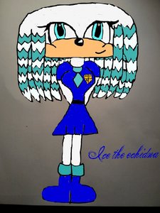 ummm...... fuoco the echidna: http://www.fanpop.com/spots/sonic-fan-characters/images/32727047/title/fire-echidna-photo Sharmaine: http://www.fanpop.com/spots/sharmaine-the-vampire-hedgehog/images/31599250/title/sharmaine-photo Ice the echidna: (picture)