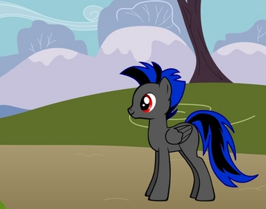 I DO I DO I DO! 

name: Shadow Blitz

type: Pegasus

almost just about as fast as RD if not faster