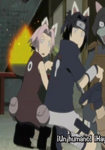 Sasuke and Sakura acting like cats X3