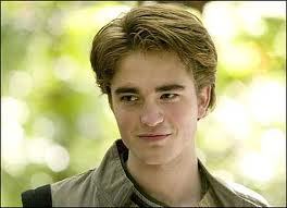  CEDRIC DIGGORY!! Deal with it, Cho!
