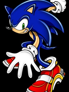  I honestly like all three hedgehogs, but the one I like most is Sonic The Hedgehog.