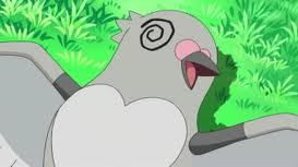 Pidove, is my my favourite pokemon out of all:P