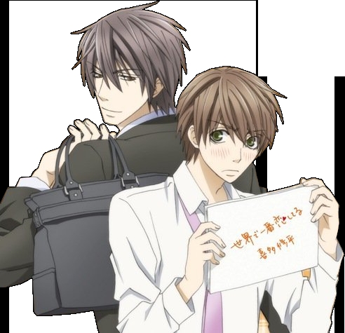  I don't really have a favorito! yaoi couple but Takano and Ritsu from Sekai-Ichi Hatsukoi is a nice pairing. :)