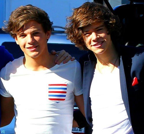 Just to let people know Larry Stylinson is for fun. Its a joke! They r just best friends