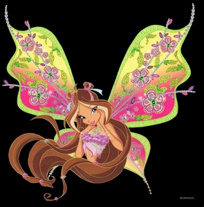  my favori fairy is flora and my birthday is february 14 1995
