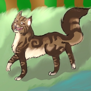  thats really cute is that izypool and hawkfrost? 83 i draw kitties too!