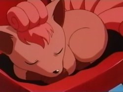 You are an Vulpix, The fox of fire that always like a good hug and also doesn't skip being broomed, you do have a bad side tough...if someone touches you wrong you burn his face 9 of the 10 times...

Vulpix	
75%
Mewtwo	
63%
Persian	
63%
Ditto	
50%
Charizard	
50%
Tyranitar	
38%
Gengar	
38%
Machamp	
38%
Electrode	
38%
Togepi	
25%
Pikachu	
25%
Snorlax	
13%
Slowpoke	
13%
Steelix	
0%