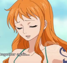 My favorite character is really between Luffy and Nami..and it's very close so I'll choose both and I'll give my reasons-Luffy because he's so funny,he's laid back but when you hurt one of his comrades or friends he'll try to defend them no matter what. next is Nami because she's a great character! she knows her directions (which reminds me of myself I was once attached to Almanacs and Maps,Compasses etc. as much as her!) and I love her character too and her past was kind of sad as well..