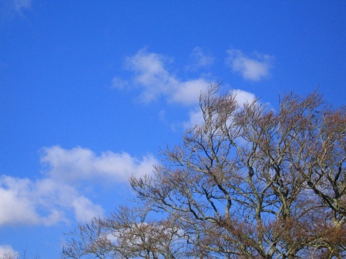  Yes, I love the clear blue sky and and with some clouds too. :)