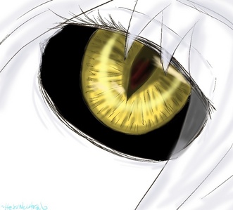  My eye color is a Hollow eye color <333333333333333333 XD