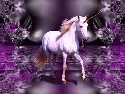  A Unicorn I know it's a Mythical Creature but they are so Beautiful