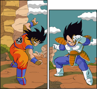 Goku vs Vegeta. They have a huge rivalry 