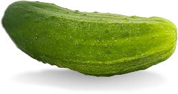 salamoia, pickle