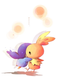 Piplup and Torchic