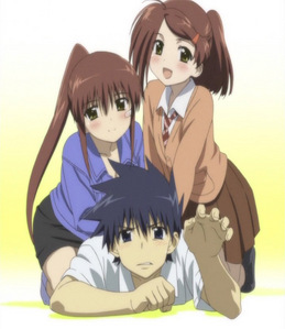 Kissxsis. Or Kiss x Sis. It's the only harem-type anime that I actually watched an entire episode of.