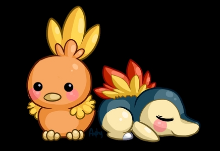 ((Well of course!

I'd have Cyndaquil or Torchic as my starter!))