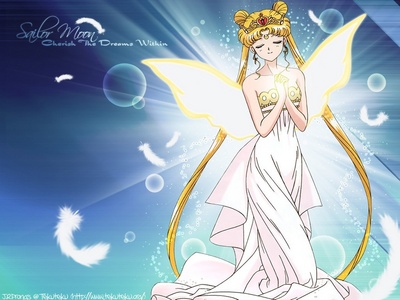  Sailor Moon, I would amor a sailor scout.