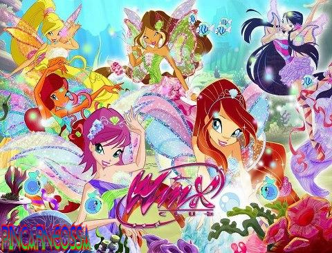  flora: sweet prettyist winx [ to me] bloom: she has a great power musa: musical tecna: technical stella: fashionable layla: sporty