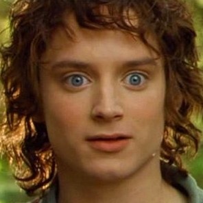  Elijah Wood as Frodo