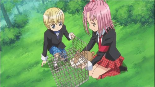  Hikaru and Amu putting a bunny back in its cage.