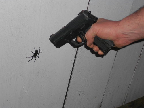  Yeah all mga hayop deserve equal rights! ...Except for spiders. Those motherfuckers deserve annihilation~
