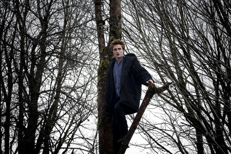  my sexy Robert standing in a tree<3