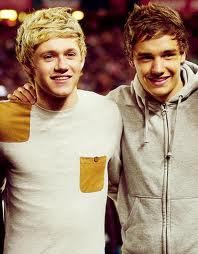  my celebrity crushes aren't actors, but rather Liam Payne & Niall Horan from 1D (: