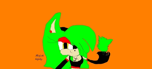  name, Harly the hedgehog age, 17 power, chaos control, 火災, 火 powers, and ice powers skills, is able to crush people with her hammer and also has a gun