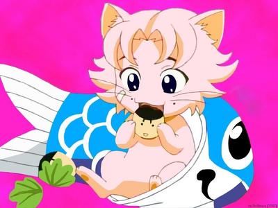  Kikumaru as a cat from Prince of Tennis....Actually,he was turned into a cat in three episodes....