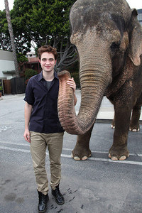 my sweetie,with his elephant co-star from WFE,wearing light colored trousers<3