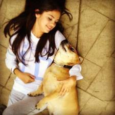  My pics http://images5.fanpop.com/image/photos/24700000/Selena-and-her-dog-selena-gomez-24788234-440-303.jpg