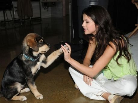 my favorite photo for selena and the animals