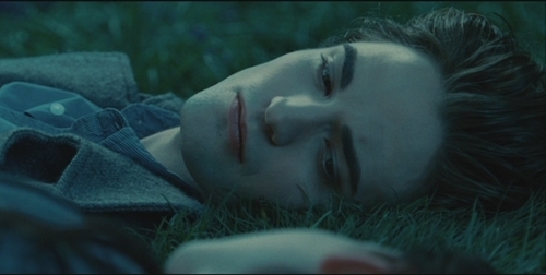  my sexy baby laying down on the grama in a scene from Twilight<3