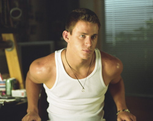  I do think Channing Tatum is handsome,but he's not my fave,but I would like to have this poster of him.