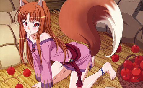 I thought Spice and Wolf had a good dub.